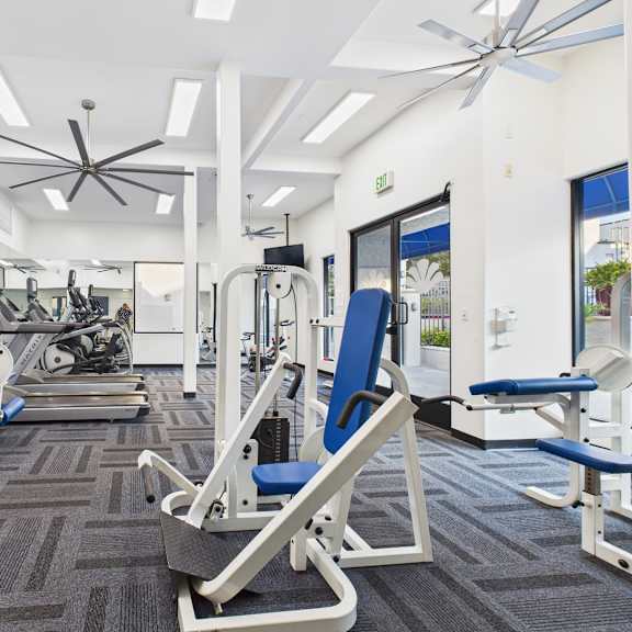 a gym with a variety of equipment including treadmills, weights, and exercise machines.