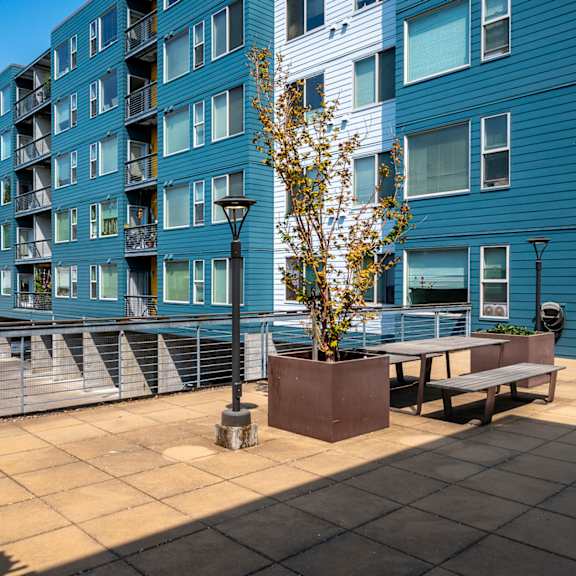 an outdoor patio with benches and a tree in front of a blue building