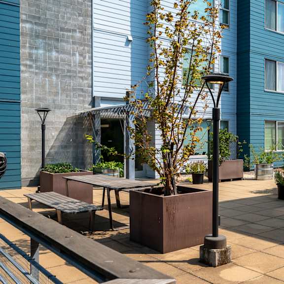 a patio with benches and a tree in front of a blue building