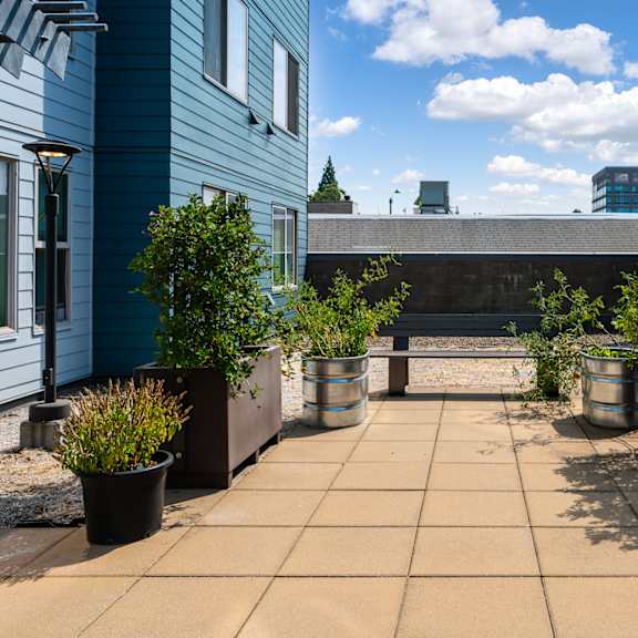 a patio with potted plants and a bench