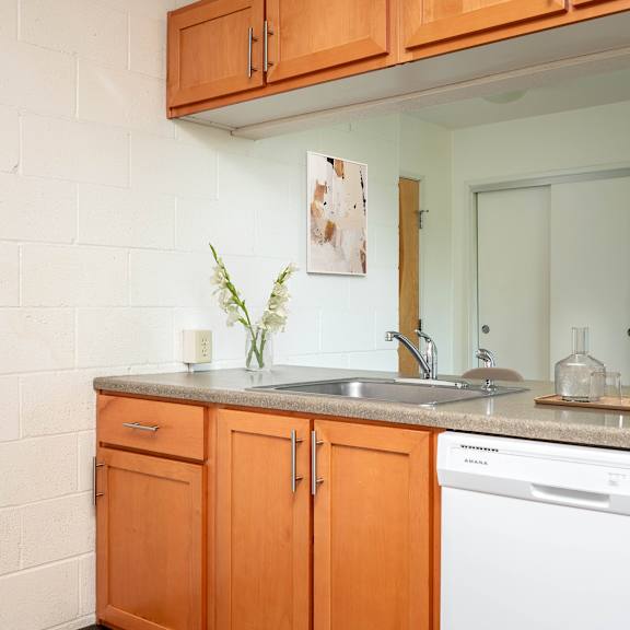a kitchen with a sink and a dishwasher and a mirror