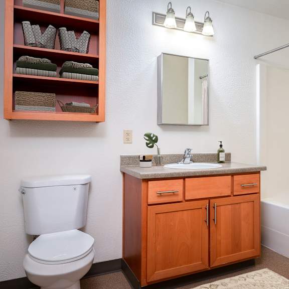 the preserve at ballantyne commons bathroom with toilet sink and shower
