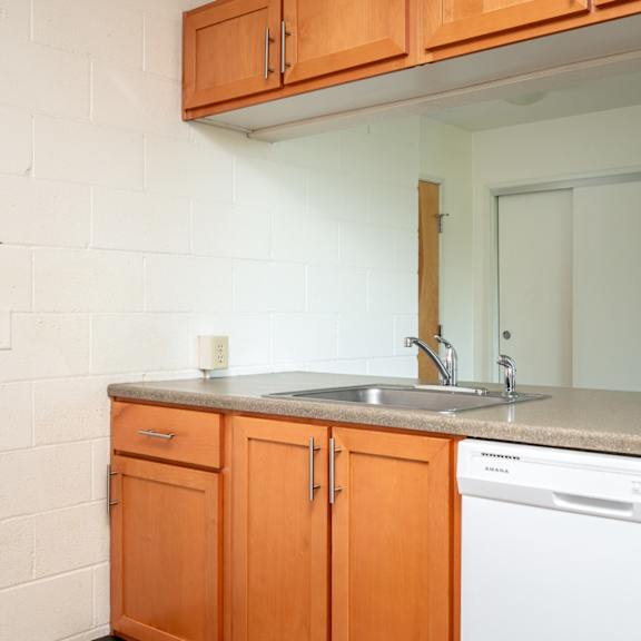 a kitchen with a sink and a dishwasher and wooden cabinets