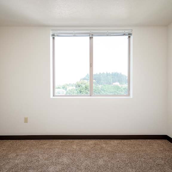 an empty room with a large window and a carpet