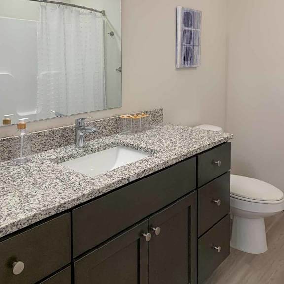 Thumbnail 20 of 22 a bathroom with dark cabinets, a vanity sink, a shower and a toilet