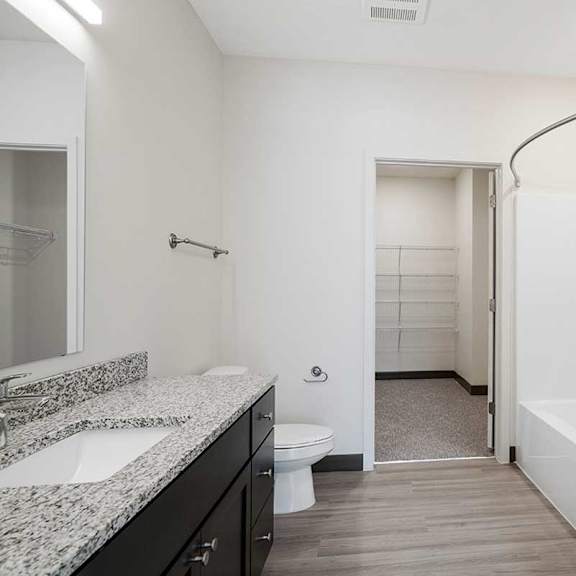 Thumbnail 26 of 29 a bathroom with a vanity sink, toilet, shower tub, and walk-in closet