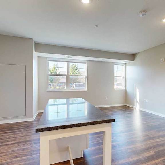 Thumbnail 9 of 13 A kitchen island in front of a living area with hardwood-style flooring and large windows.