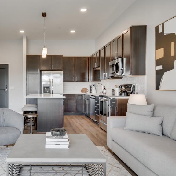 Thumbnail 6 of 13 1 bedroom luxury apartment kitchen and living area in Woodbury MN 55125