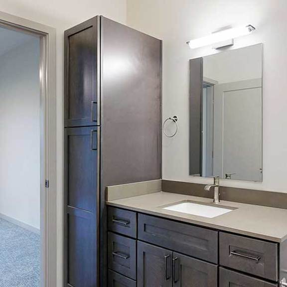 Thumbnail 26 of 29 a bathroom with a wide quartz vanity sink, a slim mirror, and a tall dark wood storage cabinet