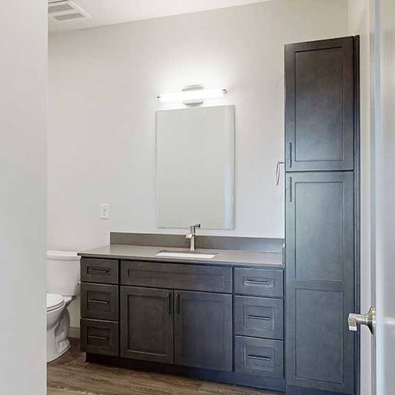 Thumbnail 22 of 28 a bathroom with a quartz vanity sink, a tall storage cabinet, and a mirror