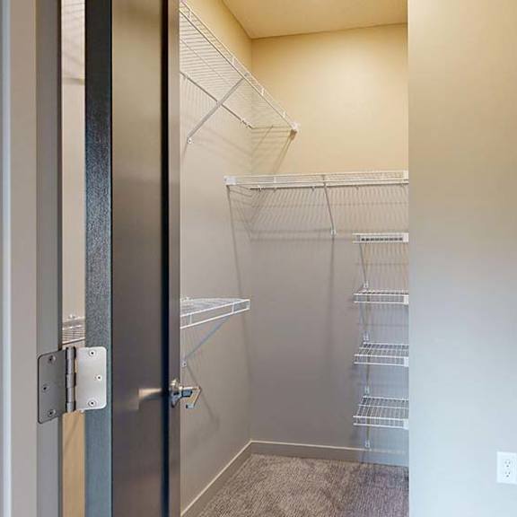 Thumbnail 66 of 84 Walk-in apartment closet with built-in wire shelving and carpeted flooring.
