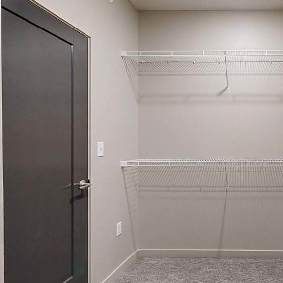 Thumbnail 41 of 46 Spacious apartment walk-in closet with built-in wire shelving on multiple walls, neutral finishes, and carpeted flooring for organized storage.