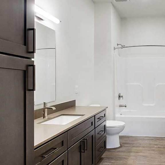 Thumbnail 21 of 25 a bathroom with a wide vanity sink, a tall cabinet, and a shower