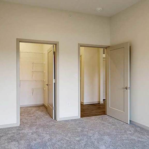 Thumbnail 9 of 33 a carpeted bedroom with a walk-in closet next to the door to the hallway
