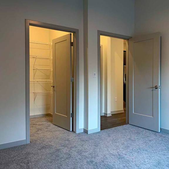 Thumbnail 18 of 29 a bedroom with a walk-in closet and door leading to the hallway