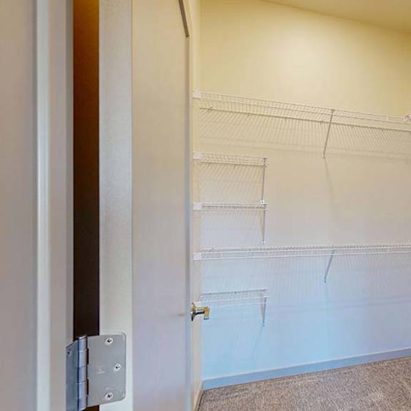 Thumbnail 46 of 50 Spacious walk-in closet with white wire shelving on three walls, neutral carpet, and bright overhead lighting in an apartment interior.