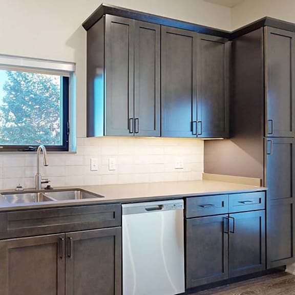 Thumbnail 36 of 50 Apartment kitchen with dark cabinets, stainless steel dishwasher, and a window above the sink.