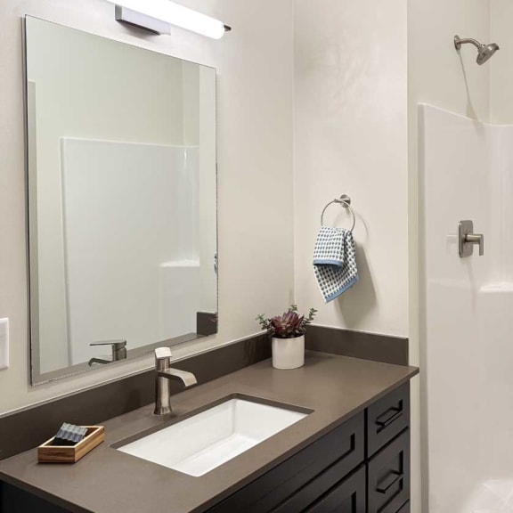 Thumbnail 18 of 20 a bathroom with a quartz vanity sink, a mirror with overhead lighting, and a walk-in shower