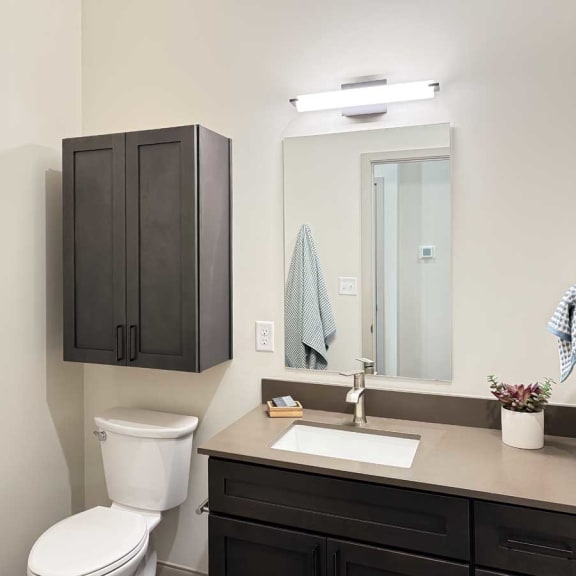 Thumbnail 19 of 20 a bathroom with dark overhead cabinets, a quartz vanity sink, and a mirror