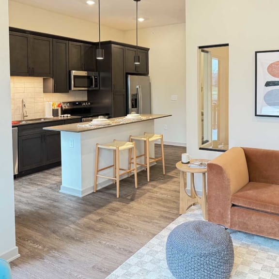 Thumbnail 8 of 20 a furnished modern living room next to a spacios kitchen with dark cabinets in the guest suite