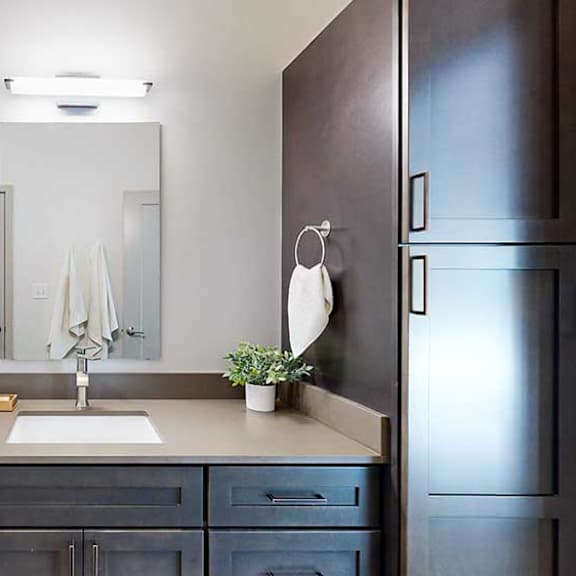 Thumbnail 23 of 26 a bathroom with a wide vanity sink featuring quartz counter tops, dark cabinetry, and a tall storage cabinet to the right