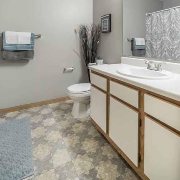 Thumbnail 9 of 9 Traditional style bathroom with white cabinets with wooden trim