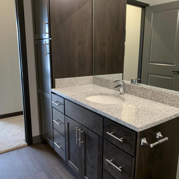 Thumbnail 13 of 15 bathroom with warm brown cabinets and lots of cabinet and linen storage