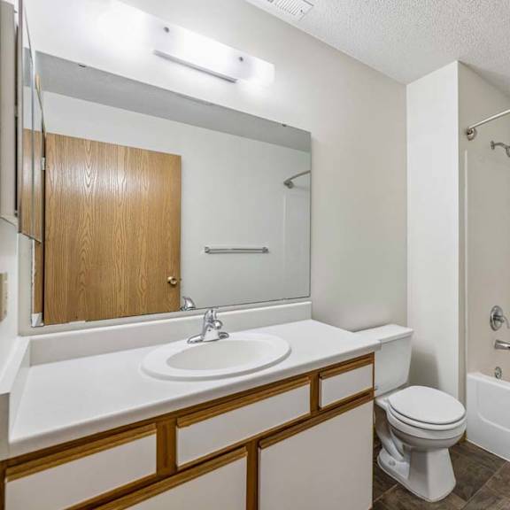 Thumbnail 27 of 31 Apartment bathroom with a single-sink vanity, large wall mirror, toilet, and a tub/shower combination with built-in shelving in a bright, neutral interior.