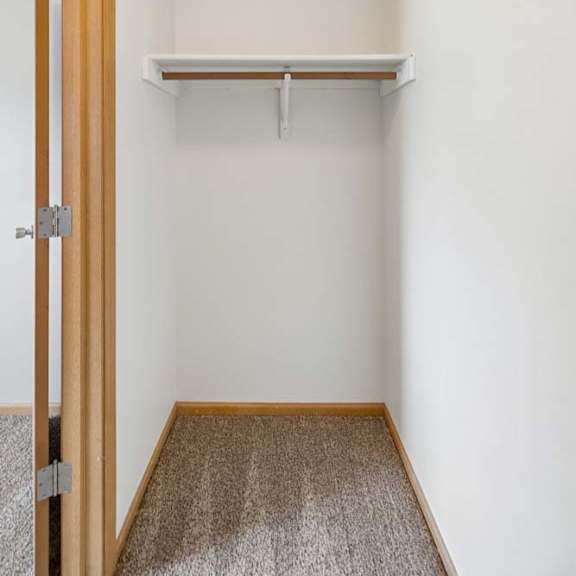 Thumbnail 25 of 28 Walk-in apartment closet with carpeted flooring, a built-in hanging rod, and ample storage space for clothing and organization.