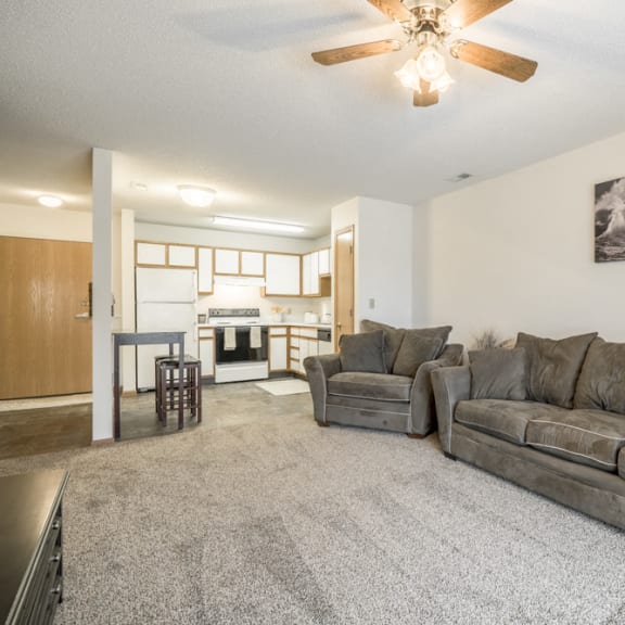Thumbnail 6 of 10 1 bedroom apartment living room with kitchen view