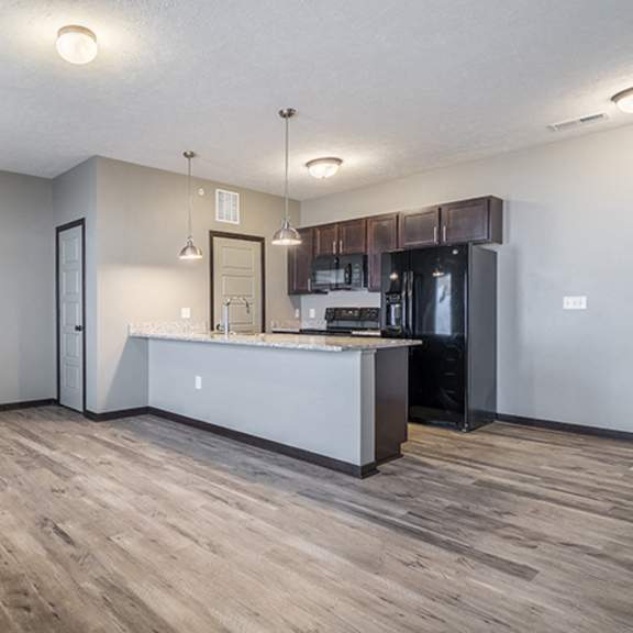 Thumbnail 6 of 9 New luxury apartment with hardwood-style floors and granite countertops at North Pointe Villas townhomes in North Lincoln