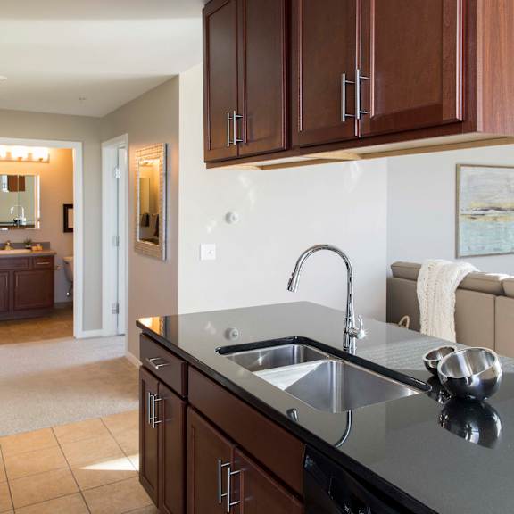 Thumbnail 3 of 10 Single Basin Sinks Big Enough For All Of Your Cooking Needs