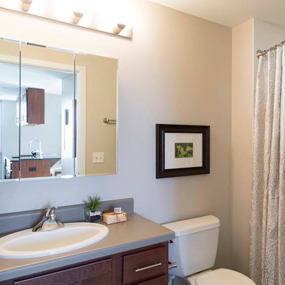 Thumbnail 10 of 10 Large soaking tub in bathroom in an apartment at Midtown Crossing