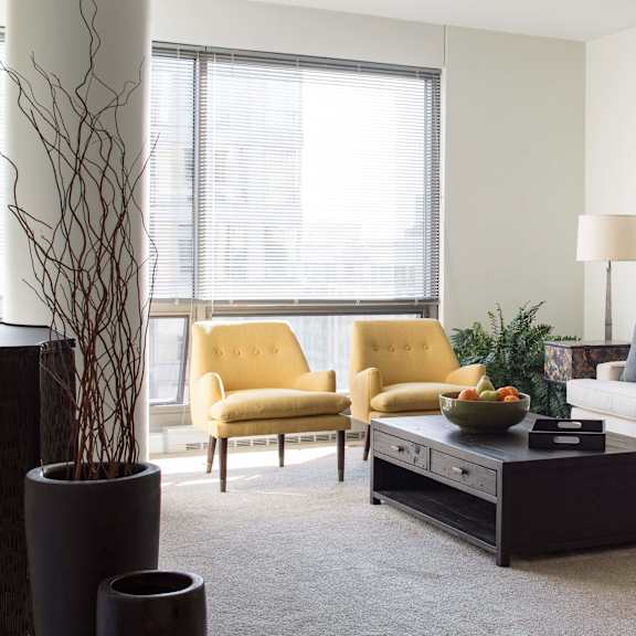 Thumbnail 5 of 8 Furnished living room with huge floor to ceiling windows