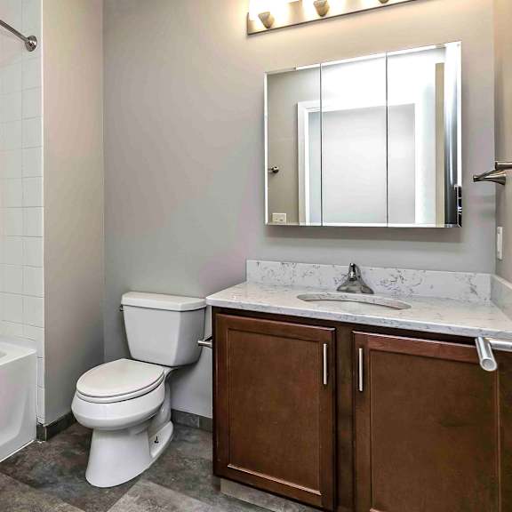 Thumbnail 8 of 9 Bathroom with vanity and sink, mirrored medicine cabinet, and tub with tiled surround