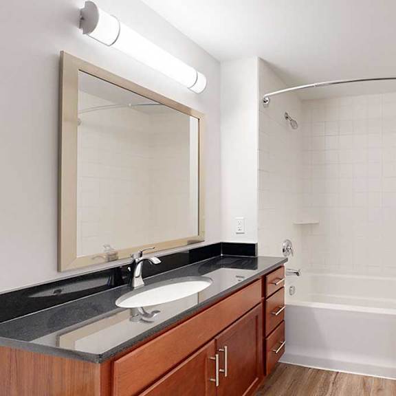 Thumbnail 24 of 24 a bathroom with a white tub and shower with a vanity sink and black granite countertops