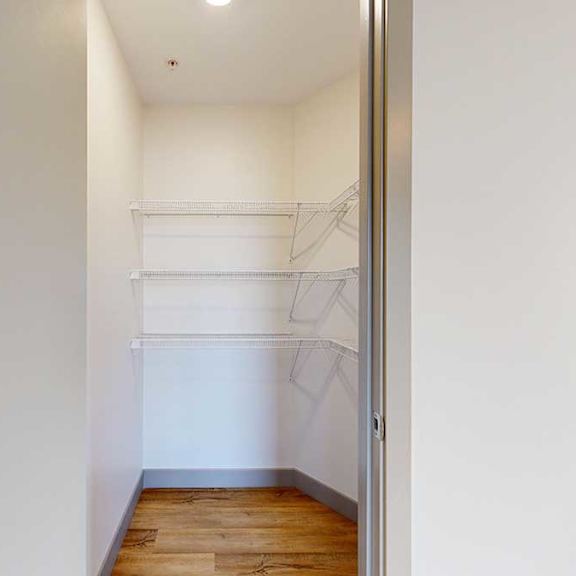 Thumbnail 12 of 24 a walk-in pantry with built-in shelving