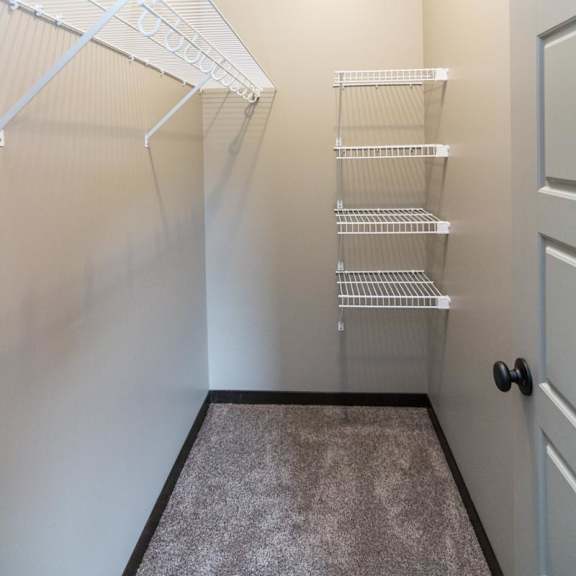 Thumbnail 8 of 9 A walk-in closet with a dray door and shelving.