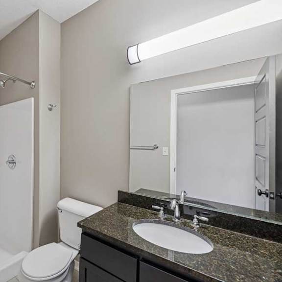 Thumbnail 18 of 22 A bathroom with a granite vanity, large mirror, and a walk-in shower.