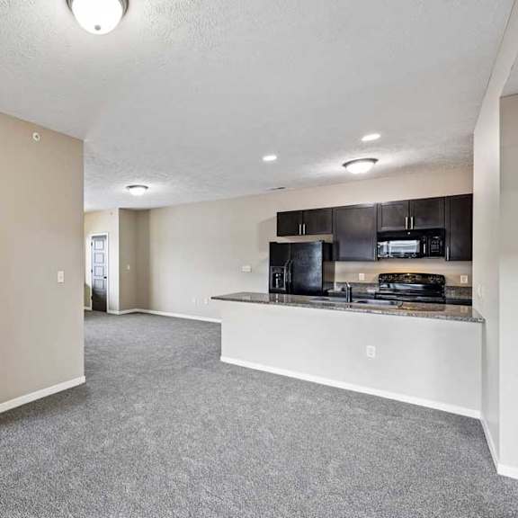 Thumbnail 19 of 25 Spacious apartment living area featuring neutral carpeting, soft beige walls, and an open view into the kitchen.