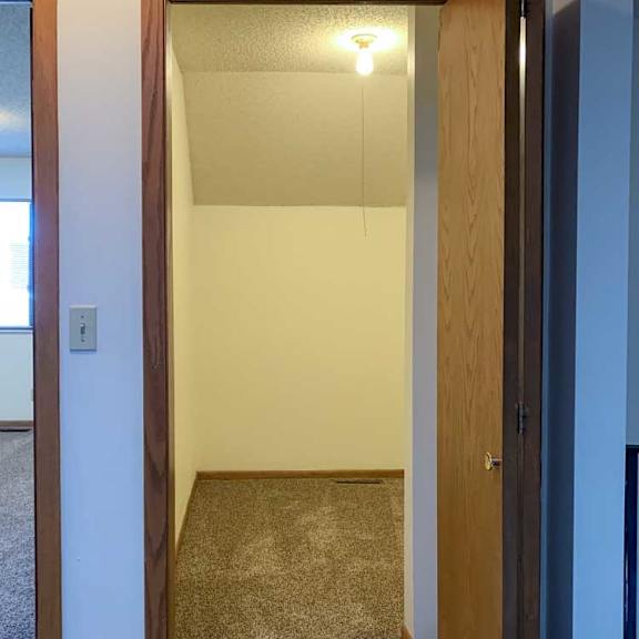 Thumbnail 24 of 30 a walk-in closet with over head lighting and a brown door
