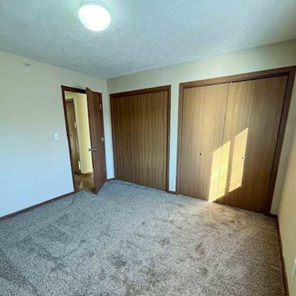 Thumbnail 10 of 17 a bedroom with a carpeted floor and two side-by-side closets
