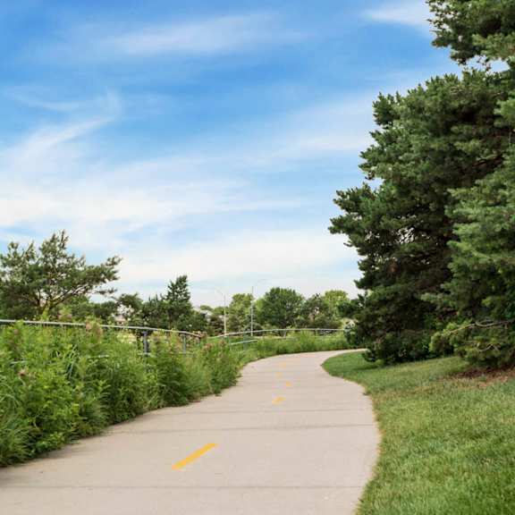 trails at pine lake heights
