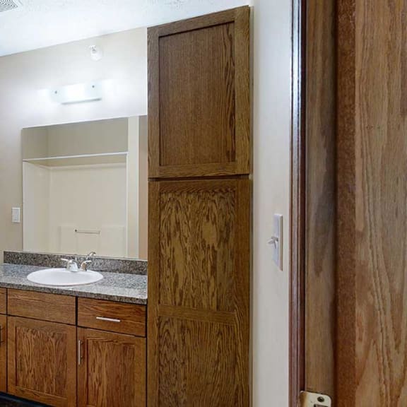 Thumbnail 19 of 20 a bathroom with a granite vanity sink and a tall storage cabinet