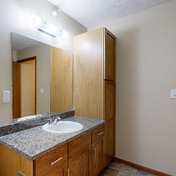 Thumbnail 18 of 20 a bathroom with a granite vanity sink, a mirror, and a tall cabinet for extra storage