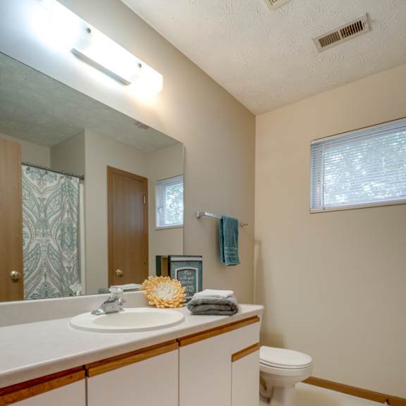 Thumbnail 10 of 15 Bathroom with vanity with cabinets for storage at Pine Lake Heights apartments