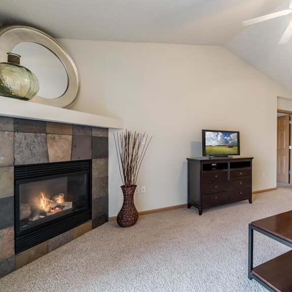 Thumbnail 4 of 20 A living room with a fireplace and a television.
