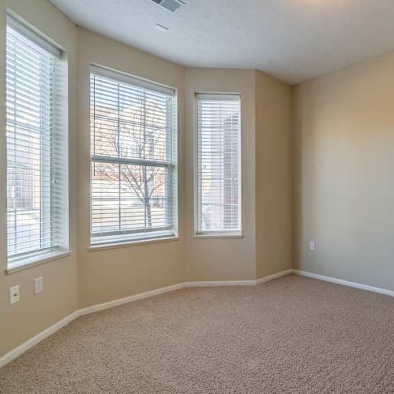 Thumbnail 14 of 16 A room with carpeted floor and two windows.