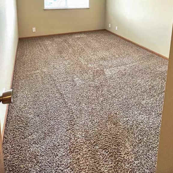 Thumbnail 4 of 24 a bedroom with a window and a carpeted floor