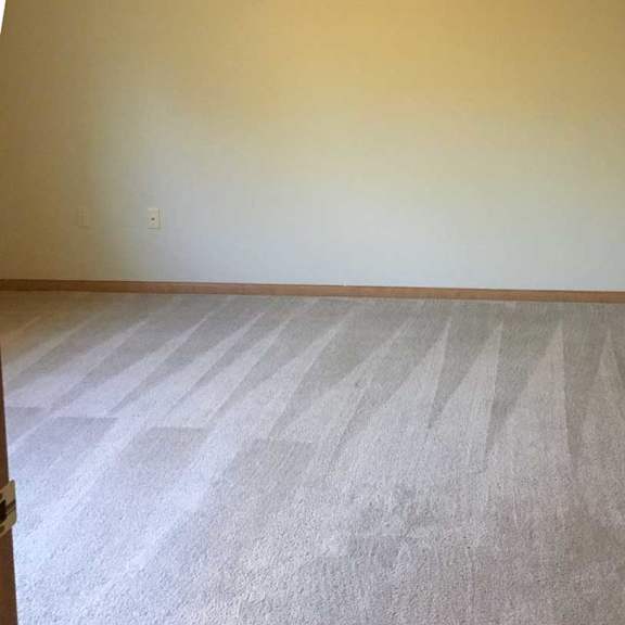 Thumbnail 8 of 11 a bedroom with a carpeted floor